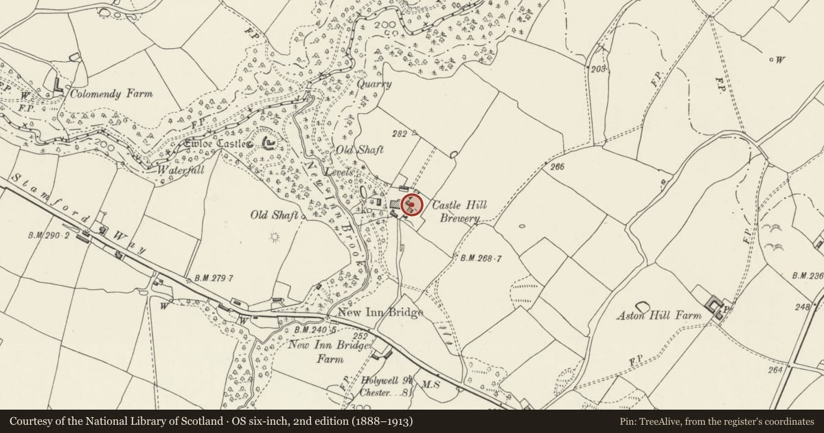 Ordnance Survey six-inch map, 2nd edition (1888–1913) covering the location of Granary at Castle Hill Farm, Hawarden, Flintshire, with a pin at the register's coordinates