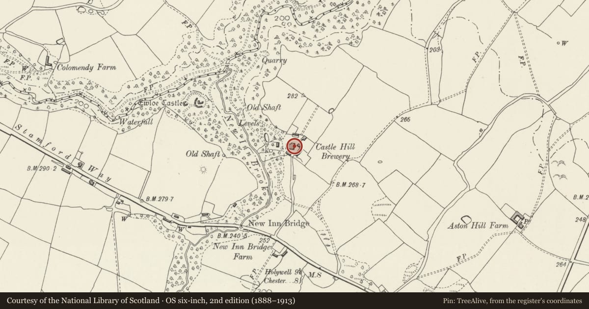 Ordnance Survey six-inch map, 2nd edition (1888–1913) covering the location of Former Brewery at Castle Hill Farm, Hawarden, Flintshire, with a pin at the register's coordinates