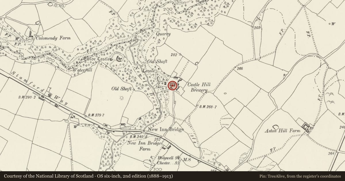 Ordnance Survey six-inch map, 2nd edition (1888–1913) covering the location of Adjacent Malting Tower at Castle Hill Farm, Hawarden, Flintshire, with a pin at the register's coordinates