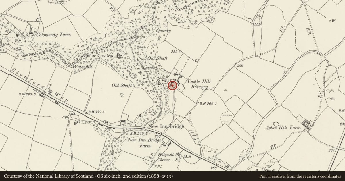 Ordnance Survey six-inch map, 2nd edition (1888–1913) covering the location of Former Stable Block at Castle Hill Farm, Hawarden, Flintshire, with a pin at the register's coordinates