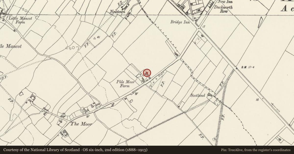Ordnance Survey six-inch map, 2nd edition (1888–1913) covering the location of L-Plan range of Farm Buildings, Hawarden, Flintshire, with a pin at the register's coordinates