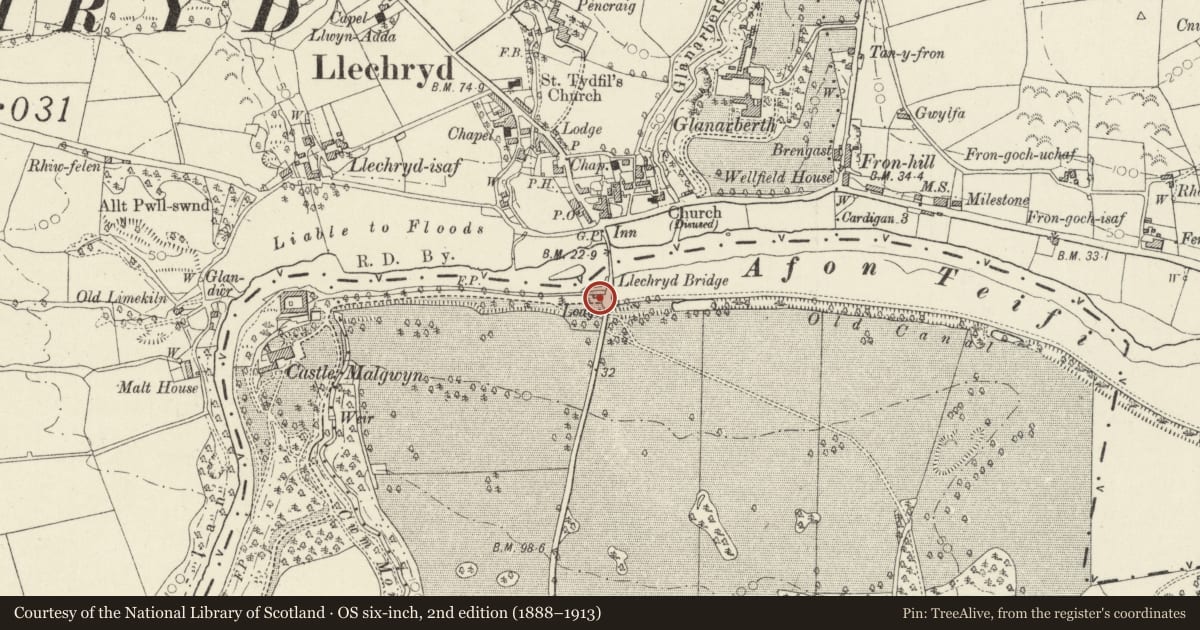 Ordnance Survey six-inch map, 2nd edition (1888–1913) covering the location of Castle Malgwyn Lodge, Manordeifi, Pembrokeshire, with a pin at the register's coordinates