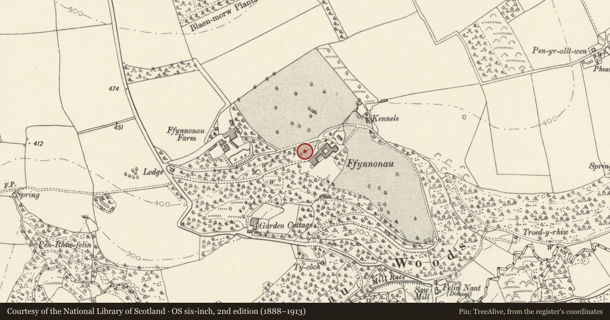 Ordnance Survey six-inch map, 2nd edition (1888–1913) covering the location of Gatepiers, Steps and Walls to N Court at Ffynone, Manordeifi, Pembrokeshire, with a pin at the register's coordinates