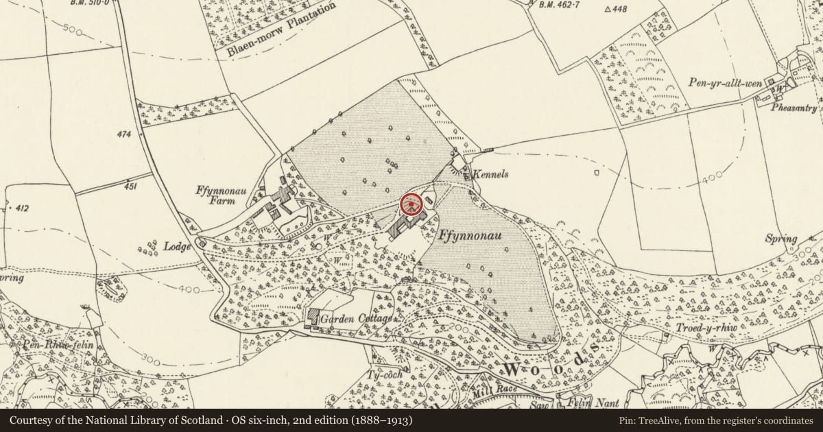 Ordnance Survey six-inch map, 2nd edition (1888–1913) covering the location of Game-Larder to N of Service Ranges at Ffynone, Manordeifi, Pembrokeshire, with a pin at the register's coordinates