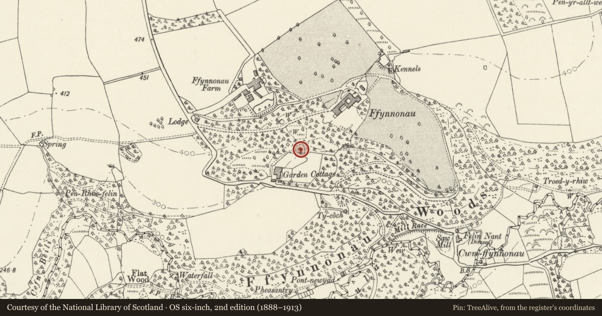 Ordnance Survey six-inch map, 2nd edition (1888–1913) covering the location of Garden Fountain N of Walled Garden at Ffynone, Manordeifi, Pembrokeshire, with a pin at the register's coordinates