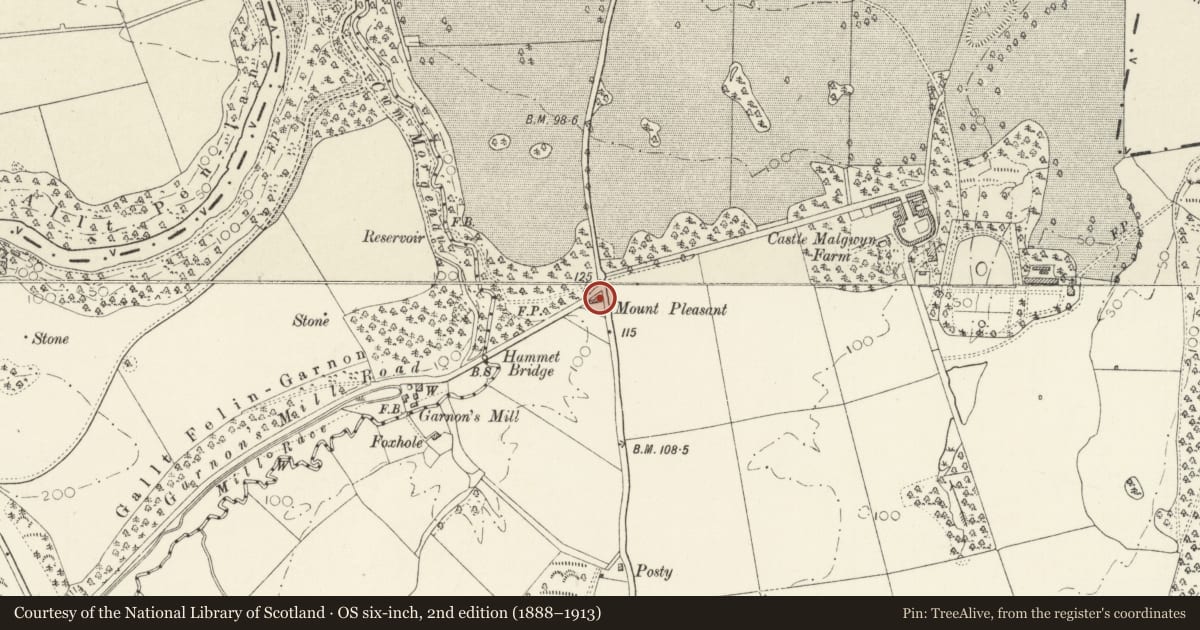 Ordnance Survey six-inch map, 2nd edition (1888–1913) covering the location of Mount Pleasant, Manordeifi, Pembrokeshire, with a pin at the register's coordinates