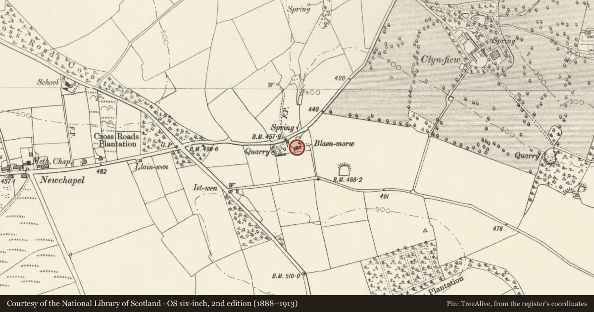 Ordnance Survey six-inch map, 2nd edition (1888–1913) covering the location of Blaenmorw, Manordeifi, Pembrokeshire, with a pin at the register's coordinates
