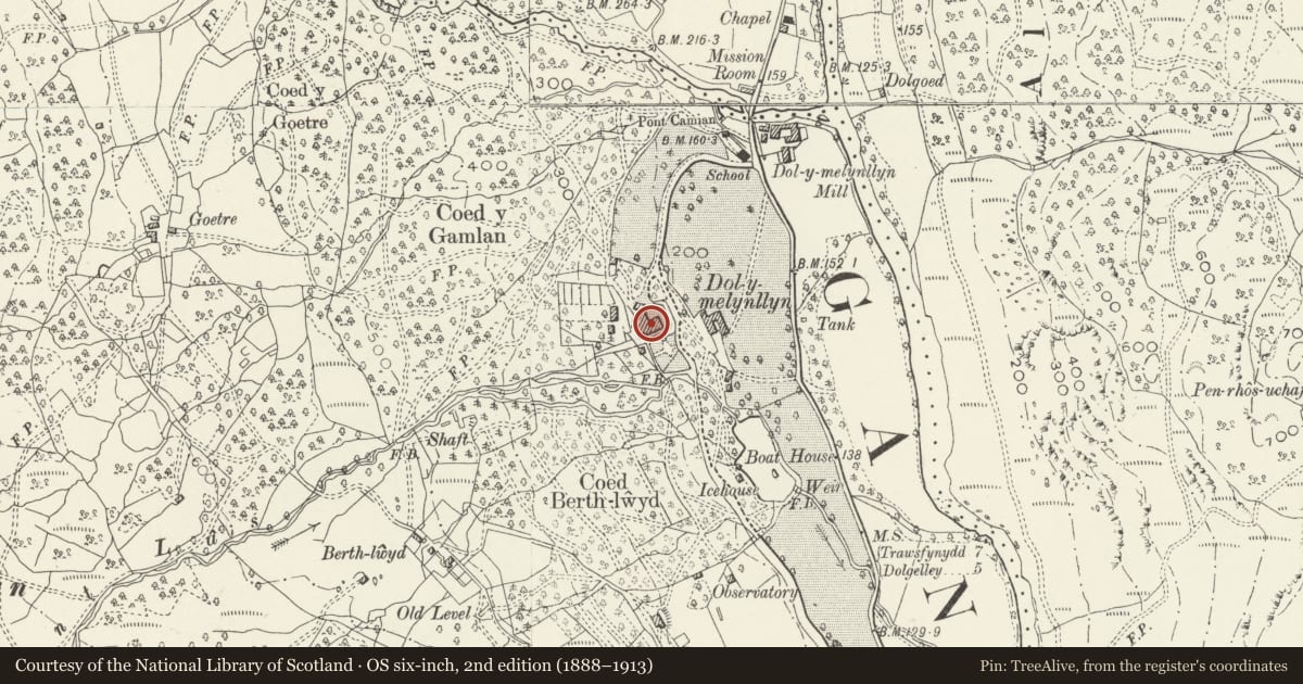 Ordnance Survey six-inch map, 2nd edition (1888–1913) covering the location of Dolmelynllyn Hall Hotel, Ganllwyd, Gwynedd, with a pin at the register's coordinates