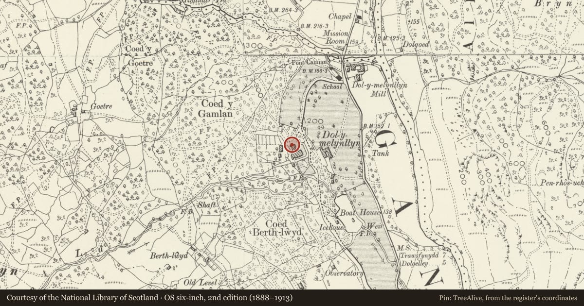 Ordnance Survey six-inch map, 2nd edition (1888–1913) covering the location of Adjoining Cottage including Forecourt Walls to W and adjoining outbuilding, Ganllwyd, Gwynedd, with a pin at the register's coordinates