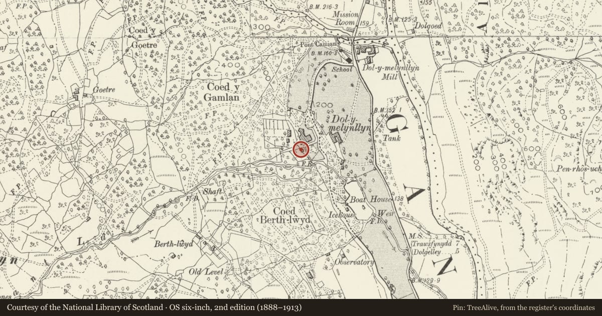 Ordnance Survey six-inch map, 2nd edition (1888–1913) covering the location of Game Larder at Dolmlynllyn Hall Hotel, Ganllwyd, Gwynedd, with a pin at the register's coordinates