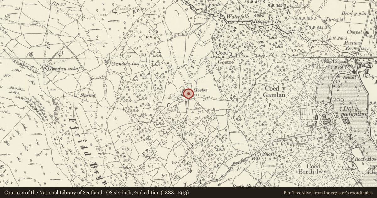 Ordnance Survey six-inch map, 2nd edition (1888–1913) covering the location of Goetre Farmhouse, Ganllwyd, Gwynedd, with a pin at the register's coordinates