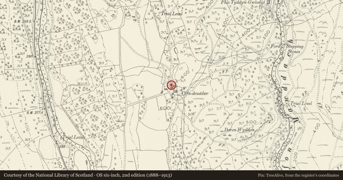 Ordnance Survey six-inch map, 2nd edition (1888–1913) covering the location of Byre (former Dower House) at Cefndeuddwr, Ganllwyd, Gwynedd, with a pin at the register's coordinates