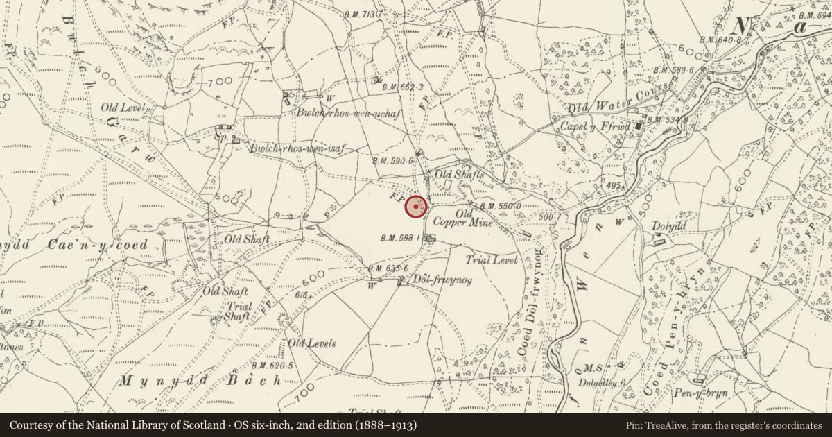 Ordnance Survey six-inch map, 2nd edition (1888–1913) covering the location of Dol-Frwynog Farmhouse, Ganllwyd, Gwynedd, with a pin at the register's coordinates