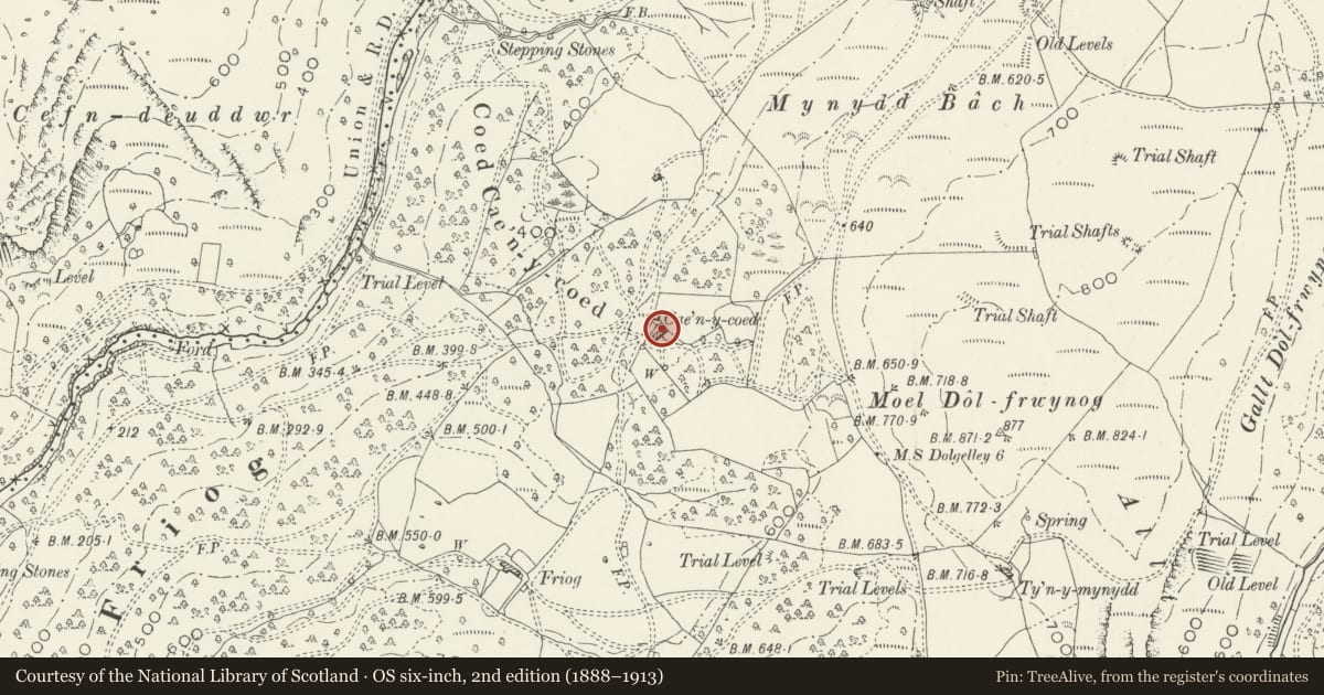 Ordnance Survey six-inch map, 2nd edition (1888–1913) covering the location of Cae'n-y-Coed Farmhouse, Ganllwyd, Gwynedd, with a pin at the register's coordinates