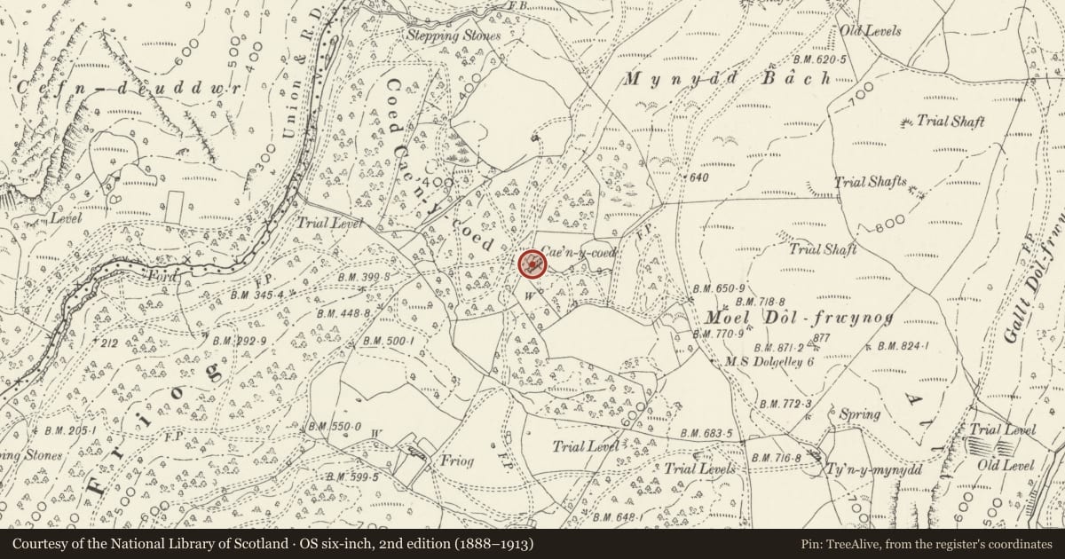 Ordnance Survey six-inch map, 2nd edition (1888–1913) covering the location of Attached earlier range stepped down to SW, Ganllwyd, Gwynedd, with a pin at the register's coordinates