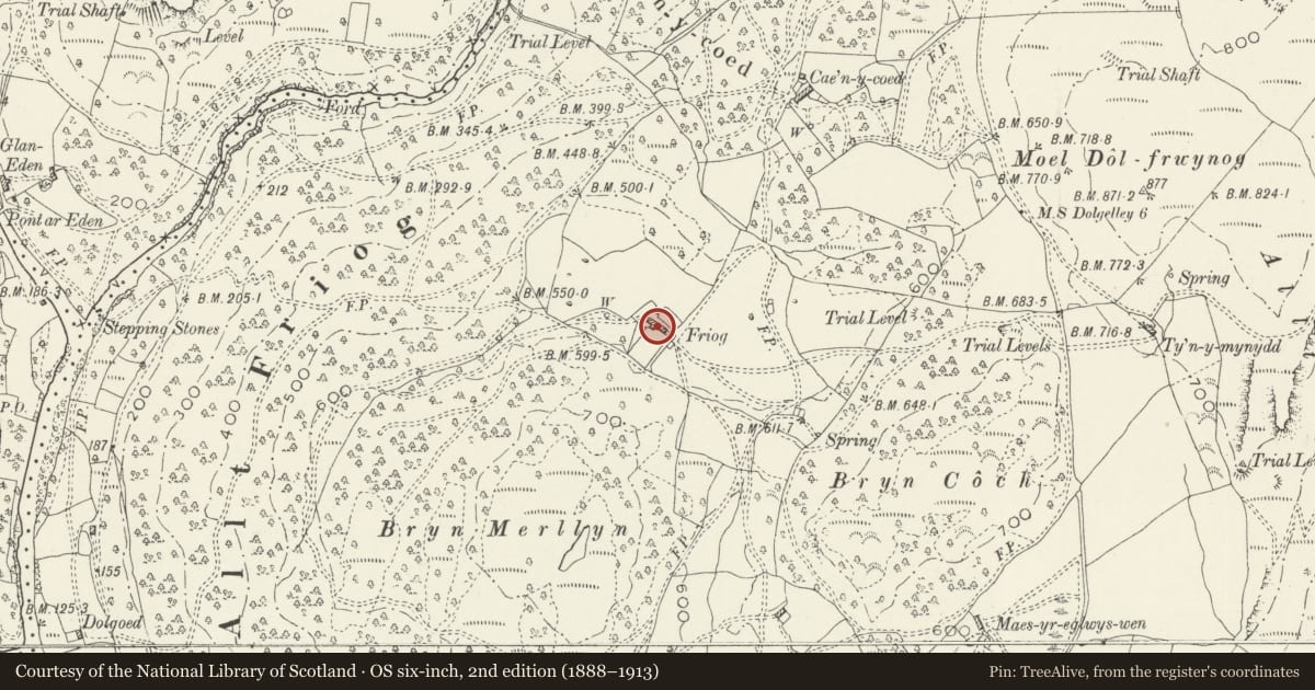Ordnance Survey six-inch map, 2nd edition (1888–1913) covering the location of Friog, Ganllwyd, Gwynedd, with a pin at the register's coordinates
