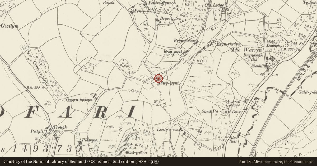 Ordnance Survey six-inch map, 2nd edition (1888–1913) covering the location of Adwy-wynt, Bodfari, Denbighshire, with a pin at the register's coordinates