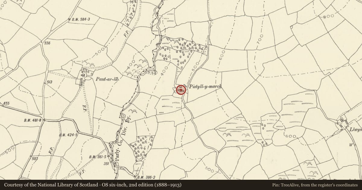 Ordnance Survey six-inch map, 2nd edition (1888–1913) covering the location of Pistyllmarch, Manordeilo and Salem, Carmarthenshire, with a pin at the register's coordinates