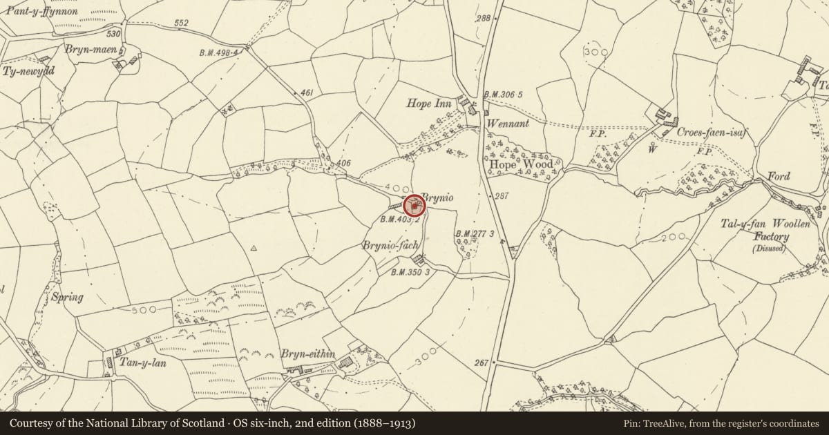 Ordnance Survey six-inch map, 2nd edition (1888–1913) covering the location of Brynio Fawr, Manordeilo and Salem, Carmarthenshire, with a pin at the register's coordinates