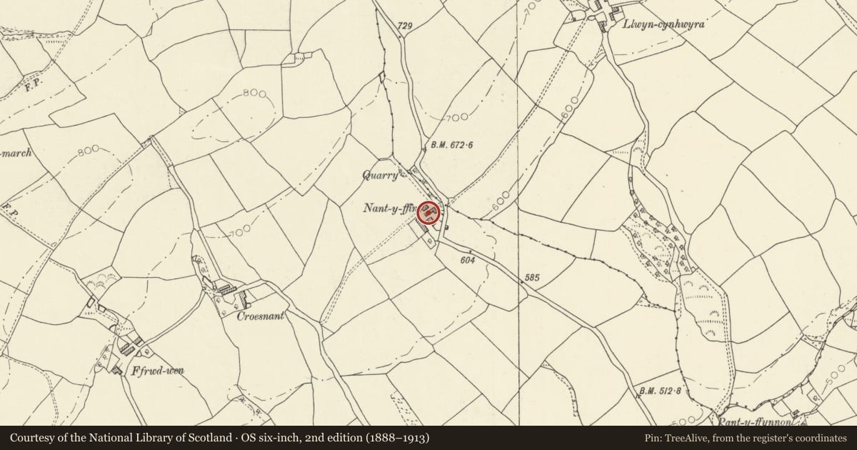 Ordnance Survey six-inch map, 2nd edition (1888–1913) covering the location of Nantyffin, Manordeilo and Salem, Carmarthenshire, with a pin at the register's coordinates