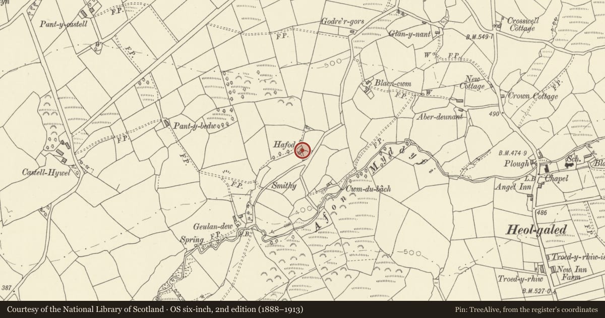 Ordnance Survey six-inch map, 2nd edition (1888–1913) covering the location of Hafod, Manordeilo and Salem, Carmarthenshire, with a pin at the register's coordinates