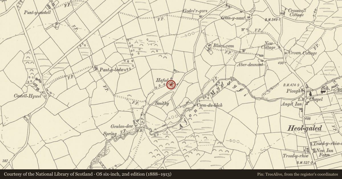 Ordnance Survey six-inch map, 2nd edition (1888–1913) covering the location of Attached Byre to left of Hafod, Manordeilo and Salem, Carmarthenshire, with a pin at the register's coordinates