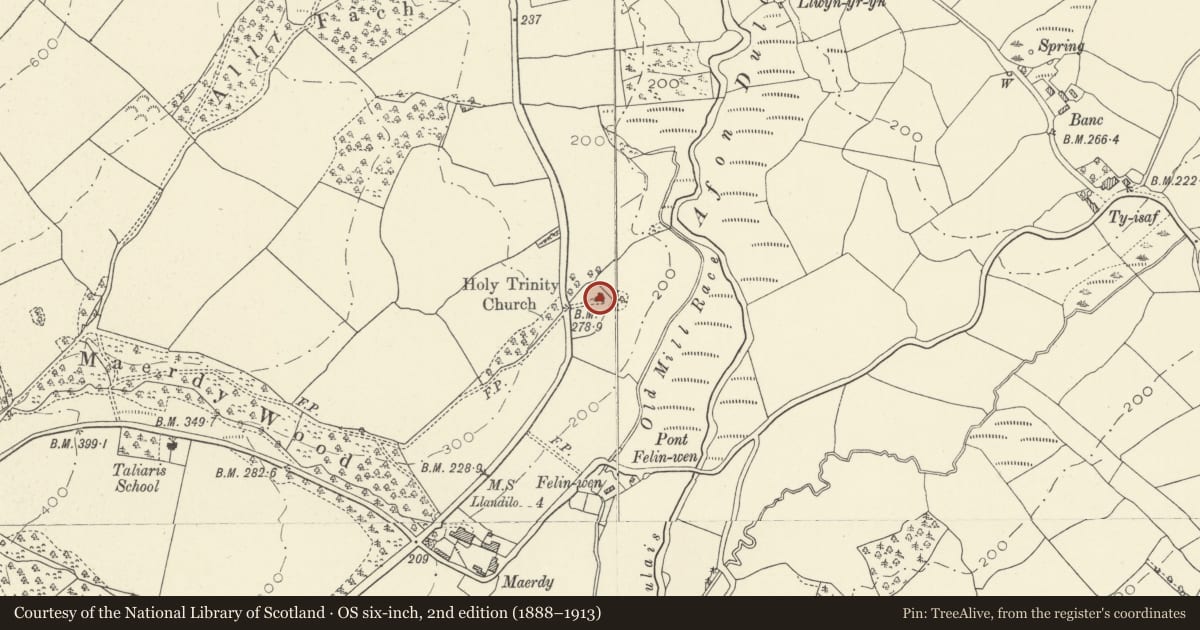 Ordnance Survey six-inch map, 2nd edition (1888–1913) covering the location of Church of the Holy Trinity, Manordeilo and Salem, Carmarthenshire, with a pin at the register's coordinates