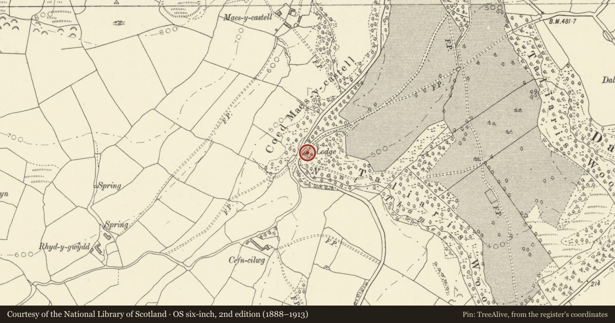 Ordnance Survey six-inch map, 2nd edition (1888–1913) covering the location of Taliaris Lodge, Manordeilo and Salem, Carmarthenshire, with a pin at the register's coordinates