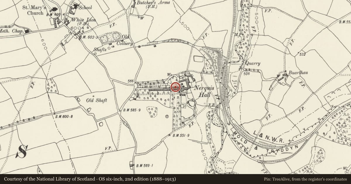 Ordnance Survey six-inch map, 2nd edition (1888–1913) covering the location of Nerquis Hall, Nercwys, Flintshire, with a pin at the register's coordinates