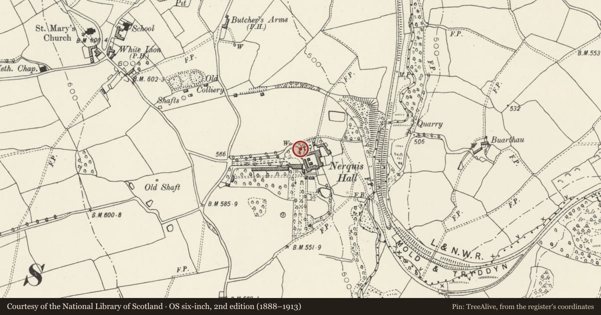 Ordnance Survey six-inch map, 2nd edition (1888–1913) covering the location of Adjoining Garden Wall at Nequis Hall Estate, Nercwys, Flintshire, with a pin at the register's coordinates