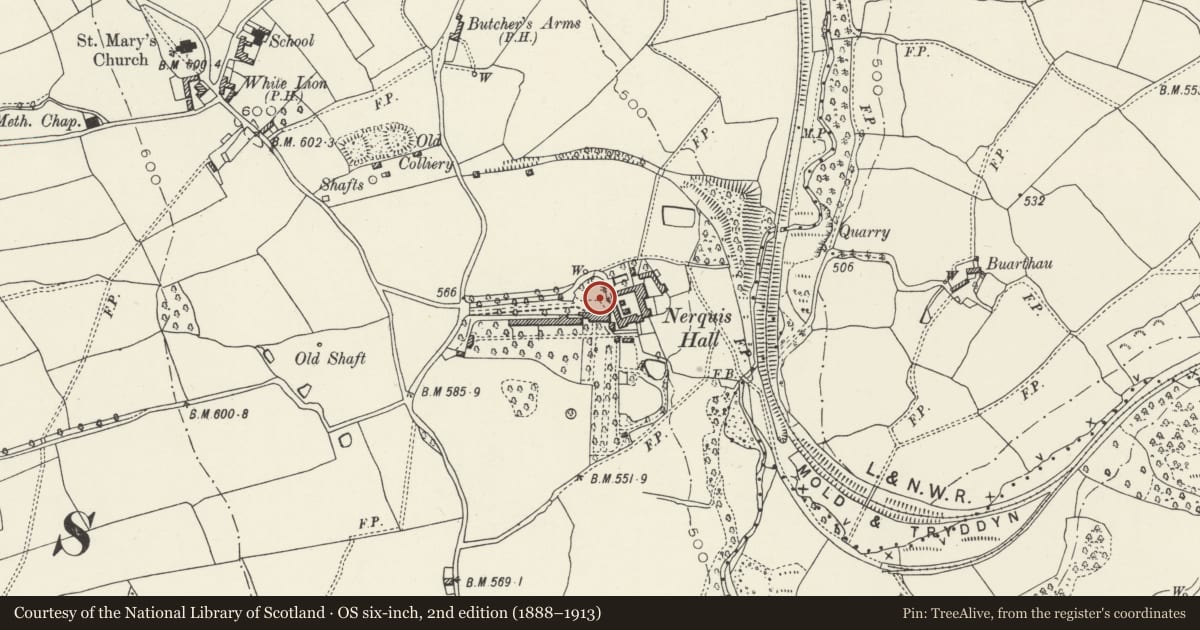 Ordnance Survey six-inch map, 2nd edition (1888–1913) covering the location of Adjoining Garden Wall at Nerquis Hall Estate, Nercwys, Flintshire, with a pin at the register's coordinates