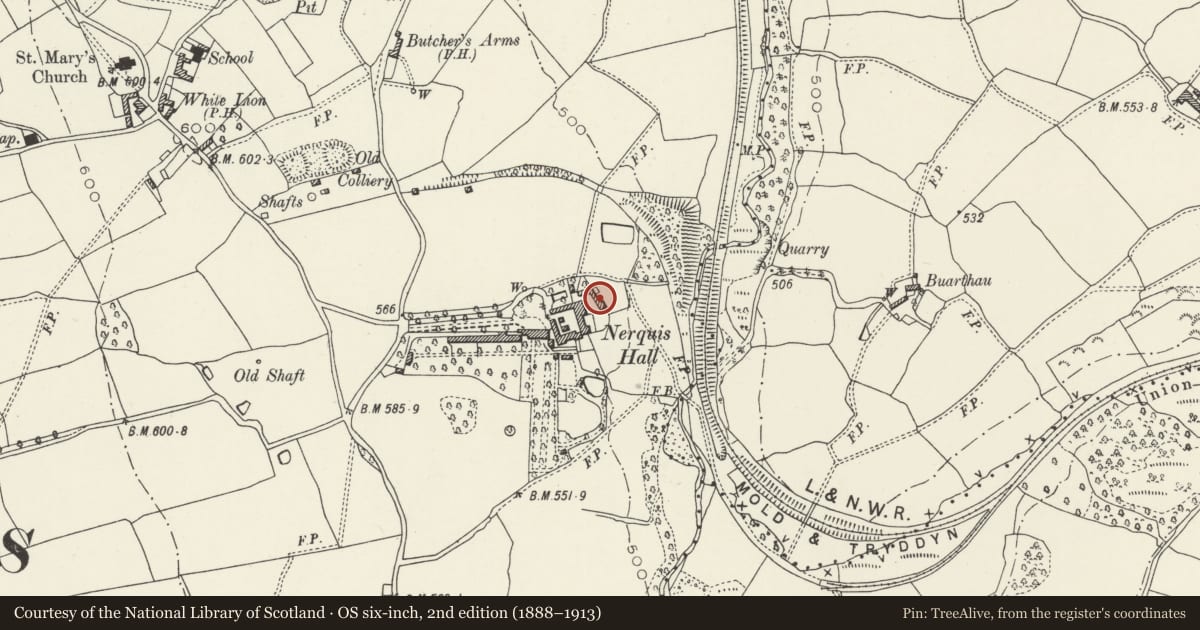 Ordnance Survey six-inch map, 2nd edition (1888–1913) covering the location of Coach-House and Cart-House at Nerquis Hall, Nercwys, Flintshire, with a pin at the register's coordinates