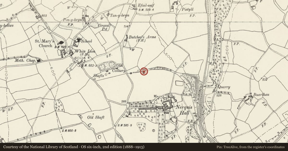 Ordnance Survey six-inch map, 2nd edition (1888–1913) covering the location of Folly at Nerquis Hall, Nercwys, Flintshire, with a pin at the register's coordinates