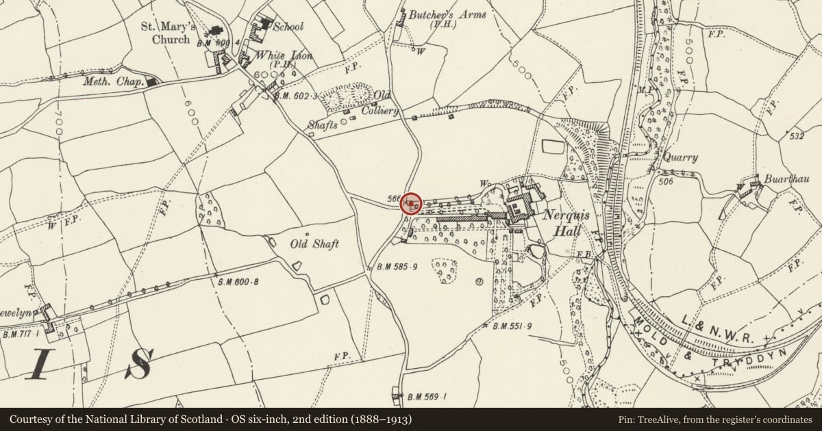Ordnance Survey six-inch map, 2nd edition (1888–1913) covering the location of Upper Gates at Nerquis Hall, Nercwys, Flintshire, with a pin at the register's coordinates