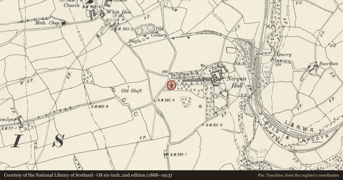 Ordnance Survey six-inch map, 2nd edition (1888–1913) covering the location of Orangery at Nerquis Hall, Nercwys, Flintshire, with a pin at the register's coordinates