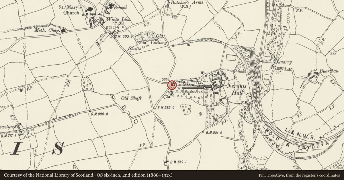 Ordnance Survey six-inch map, 2nd edition (1888–1913) covering the location of Adjoining Kitchen Garden Wall at Nerquis Hall, Nercwys, Flintshire, with a pin at the register's coordinates