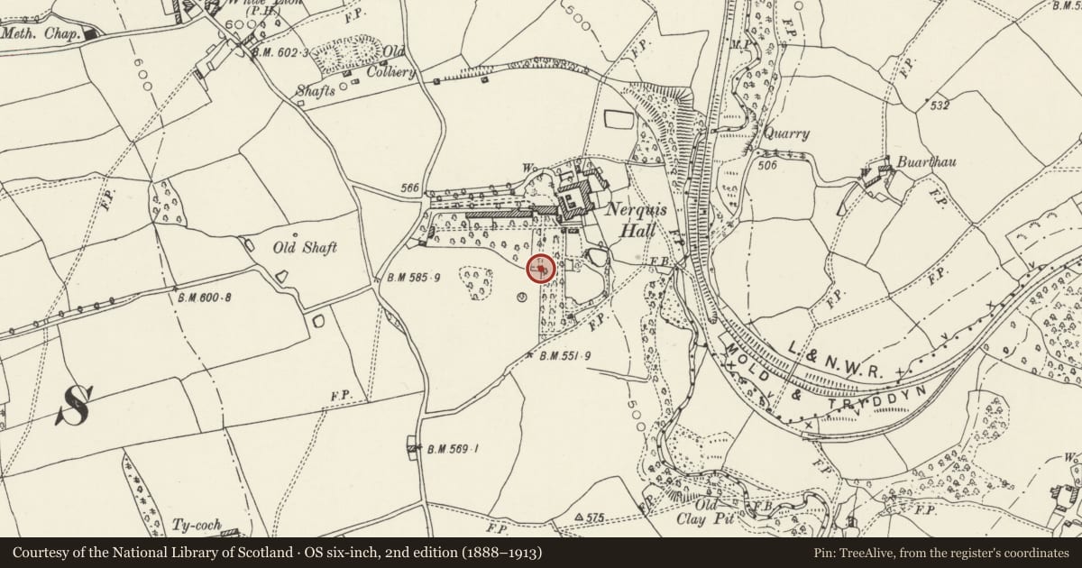 Ordnance Survey six-inch map, 2nd edition (1888–1913) covering the location of C18 Gates and Gate-Piers in the Garden at Nerquis Hall, Nercwys, Flintshire, with a pin at the register's coordinates