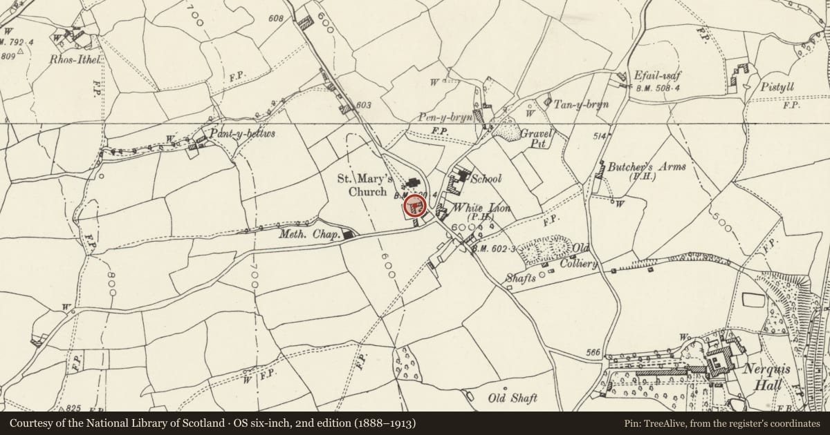 Ordnance Survey six-inch map, 2nd edition (1888–1913) covering the location of L-Shaped Range of Farm Buildings at Play Yn Llan, Nercwys, Flintshire, with a pin at the register's coordinates