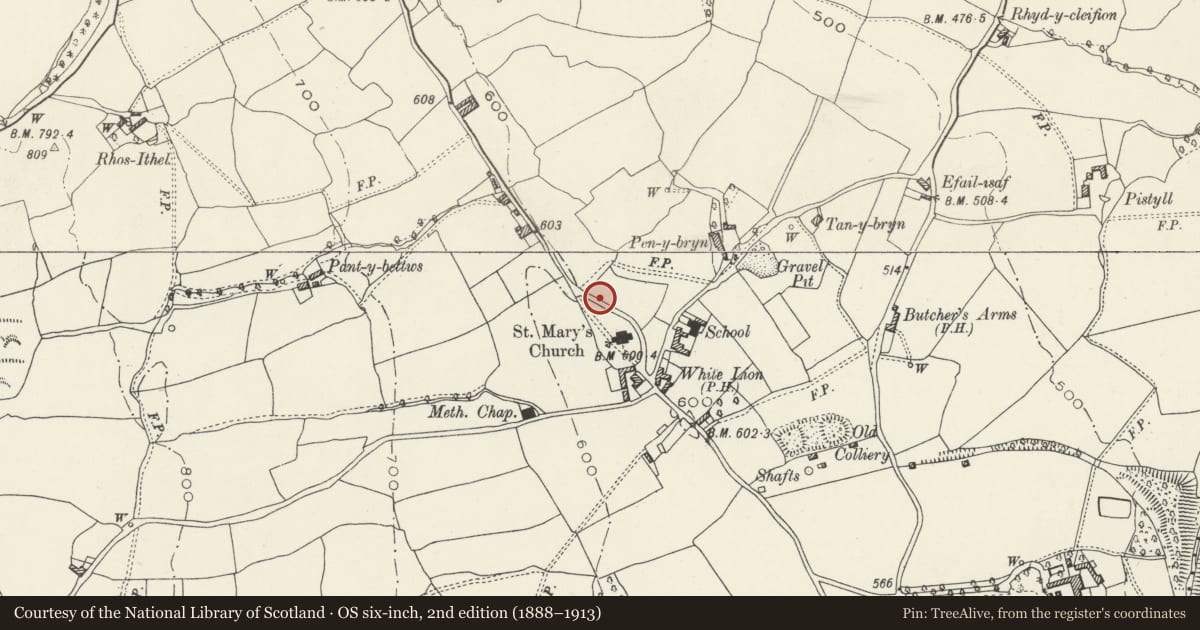Ordnance Survey six-inch map, 2nd edition (1888–1913) covering the location of Churchuard Gates and Walls at St Mary's Church, Nercwys, Flintshire, with a pin at the register's coordinates