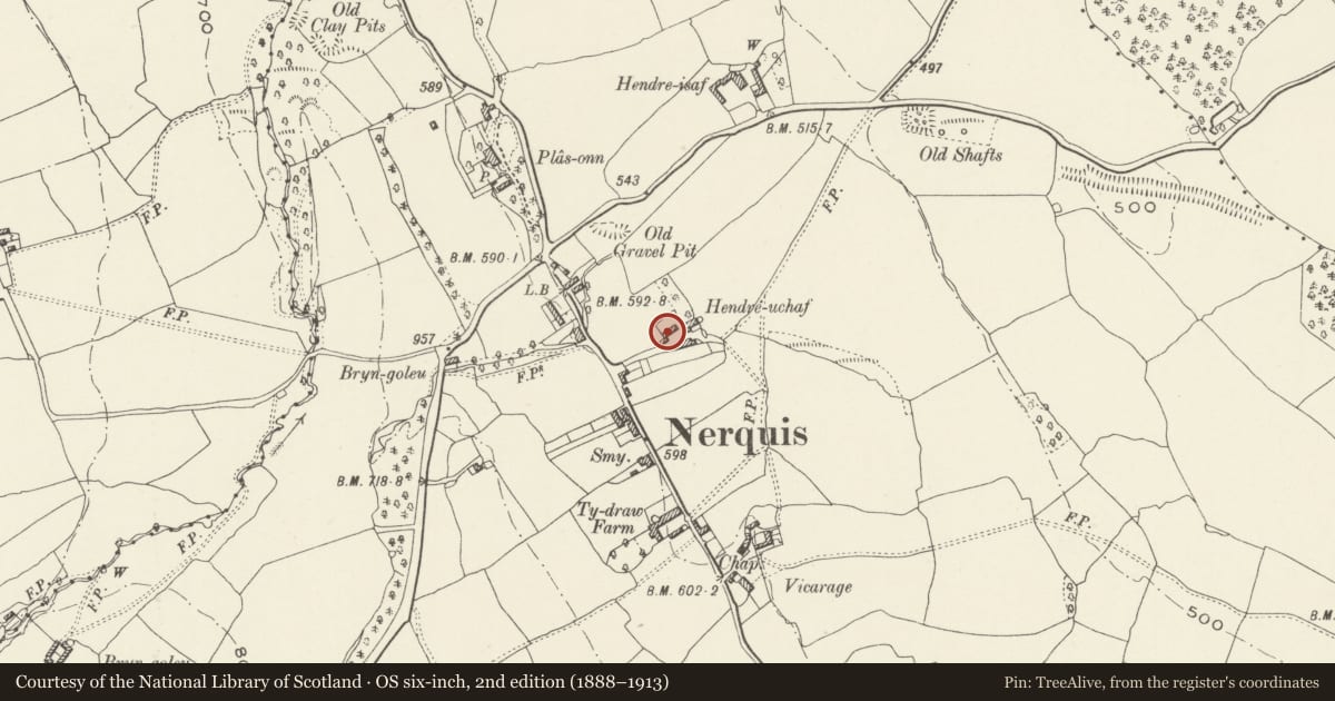 Ordnance Survey six-inch map, 2nd edition (1888–1913) covering the location of Hay Barn at Plas Hendre, Nercwys, Flintshire, with a pin at the register's coordinates