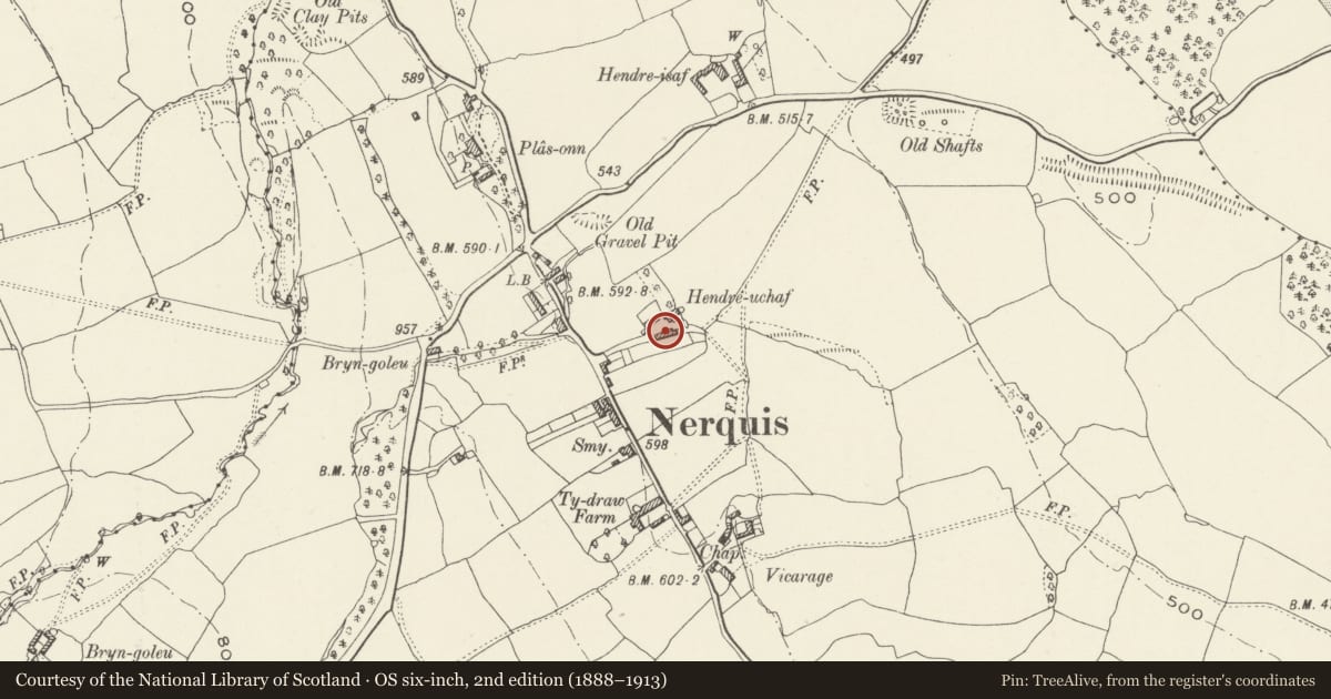 Ordnance Survey six-inch map, 2nd edition (1888–1913) covering the location of Agricultural Range tp SW of Plas Hendre, Nercwys, Flintshire, with a pin at the register's coordinates