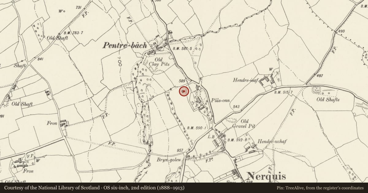 Ordnance Survey six-inch map, 2nd edition (1888–1913) covering the location of Dovecot at Plas Onn, Nercwys, Flintshire, with a pin at the register's coordinates