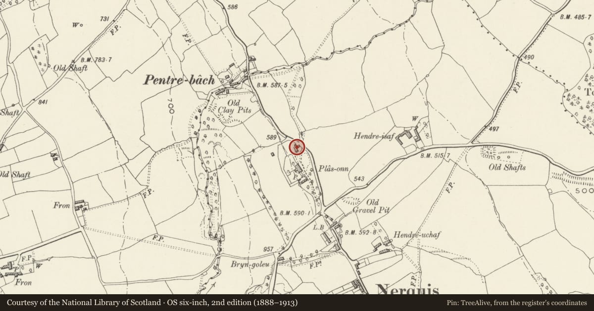 Ordnance Survey six-inch map, 2nd edition (1888–1913) covering the location of Teh Barn, Nercwys, Flintshire, with a pin at the register's coordinates