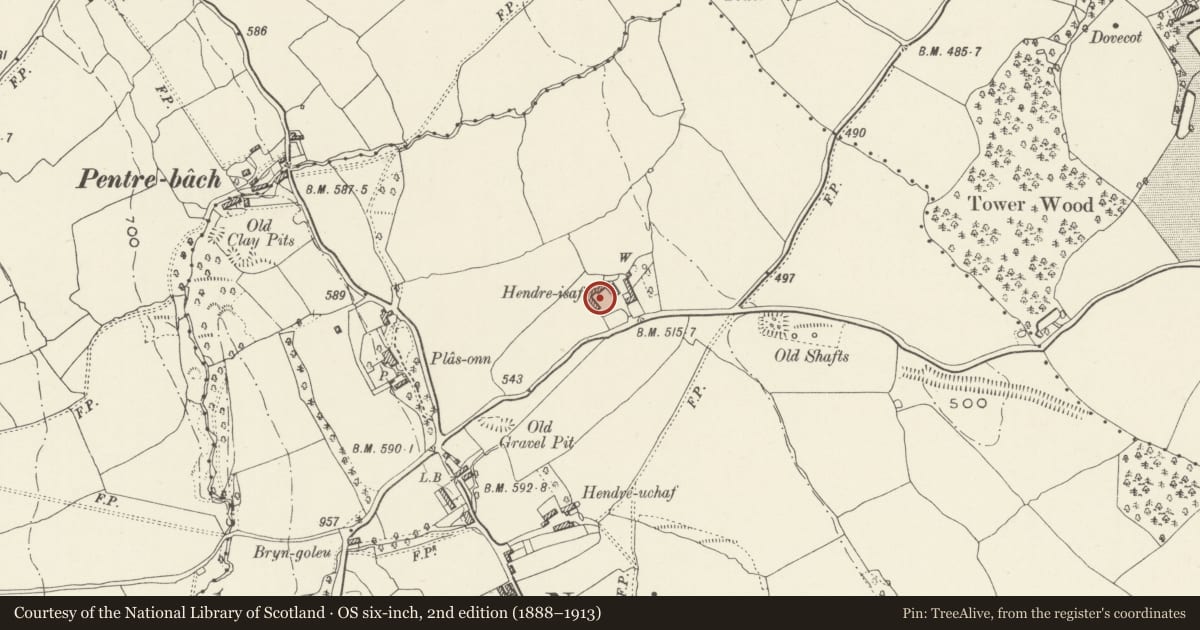 Ordnance Survey six-inch map, 2nd edition (1888–1913) covering the location of Barn at Hendra Isa, Nercwys, Flintshire, with a pin at the register's coordinates
