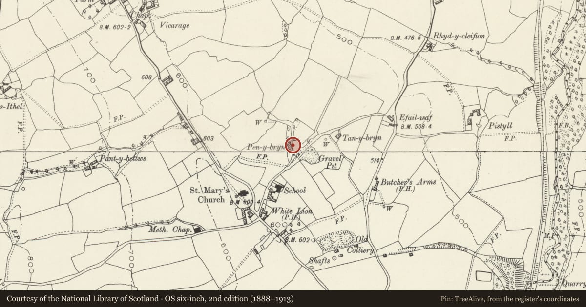 Ordnance Survey six-inch map, 2nd edition (1888–1913) covering the location of Pen y Bryn Farmhouse and attached Byre, Nercwys, Flintshire, with a pin at the register's coordinates