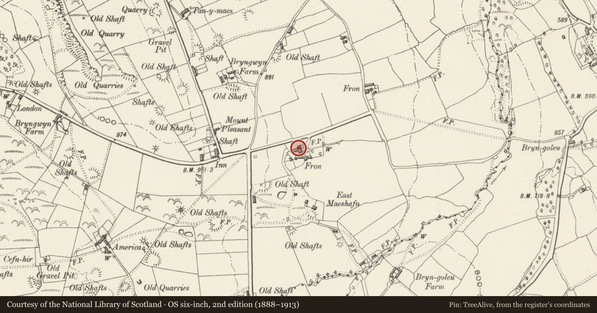 Ordnance Survey six-inch map, 2nd edition (1888–1913) covering the location of Former Farmhouse at Fron Farm (excluding the modern house attached to N), Nercwys, Flintshire, with a pin at the register's coordinates