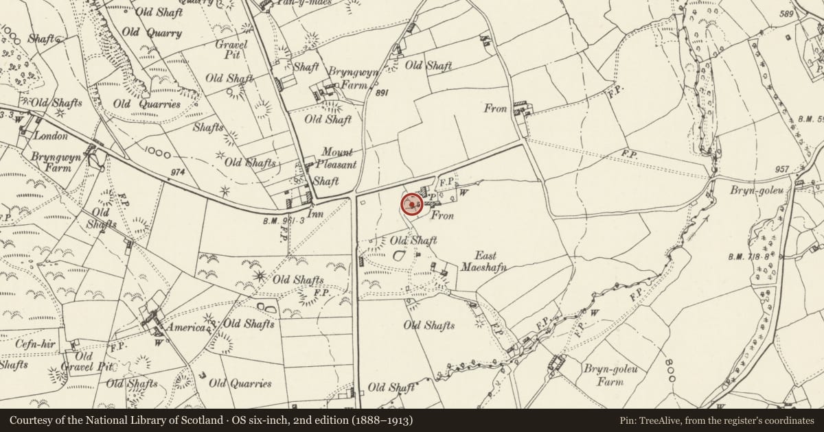 Ordnance Survey six-inch map, 2nd edition (1888–1913) covering the location of Stable Block to W of original Farmhouse at Fron Farm, Nercwys, Flintshire, with a pin at the register's coordinates