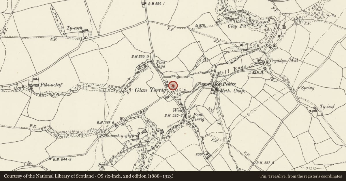 Ordnance Survey six-inch map, 2nd edition (1888–1913) covering the location of Glan Terrig Farmhouse, Nercwys, Flintshire, with a pin at the register's coordinates