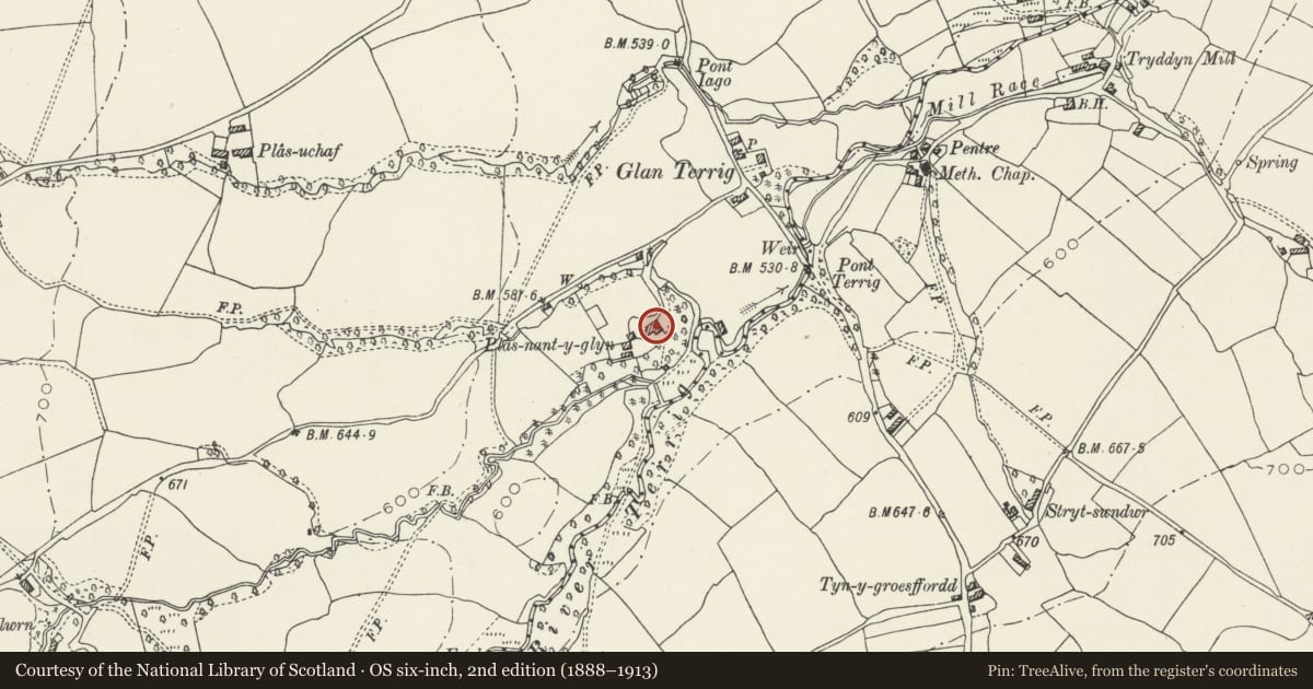 Ordnance Survey six-inch map, 2nd edition (1888–1913) covering the location of Plas Nant y Glyn (excluding C20 W Range), Nercwys, Flintshire, with a pin at the register's coordinates