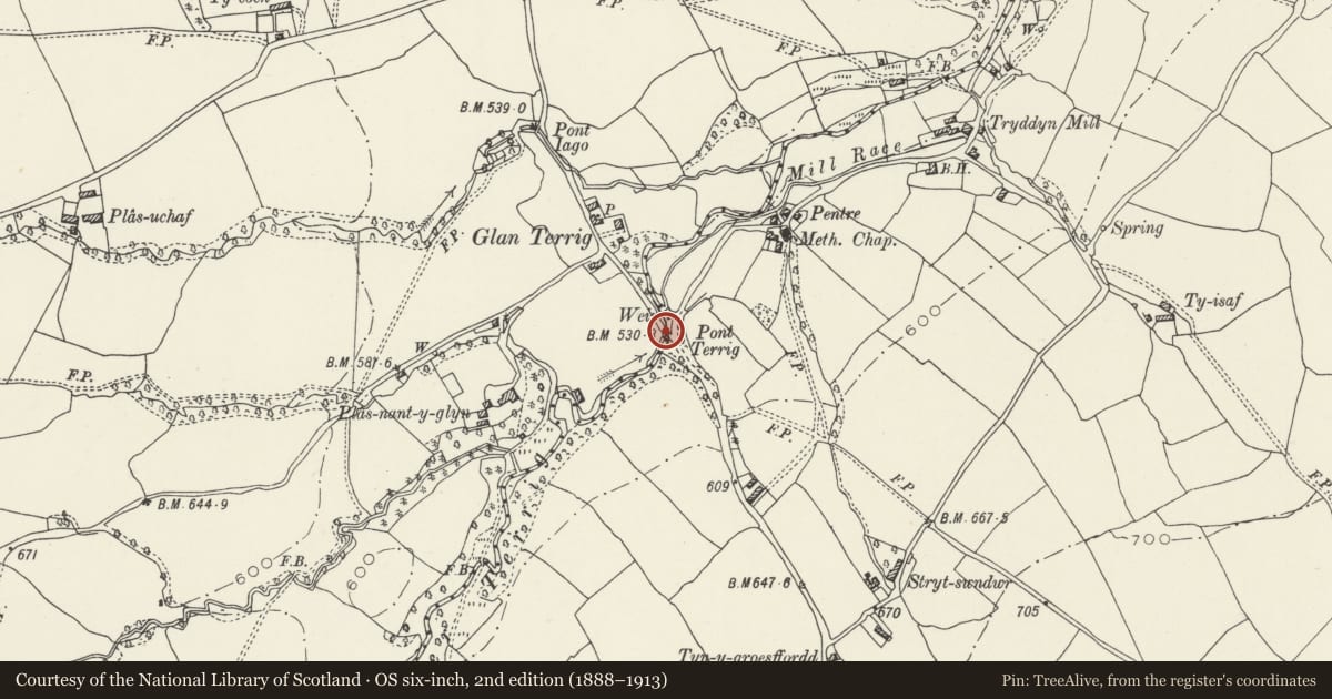 Ordnance Survey six-inch map, 2nd edition (1888–1913) covering the location of Pont Terrig, Nercwys, Flintshire, with a pin at the register's coordinates